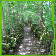 sample-image