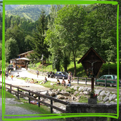 sample-image